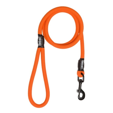 REBEL PETZ - ORANGE BASIC LEASH SMALL