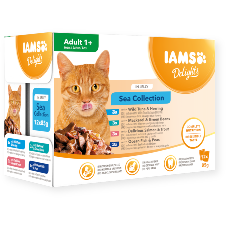 IAMS Cat  Sea in Jelly 85gr x12