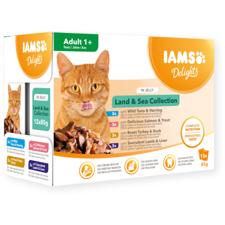IAMS Cat Land & Sea in Jelly  85gr x12