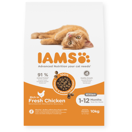 IAMS Dry Food Kitten Fresh Chicken