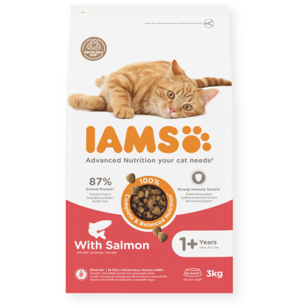IAMS Dry Food Adult Salmon