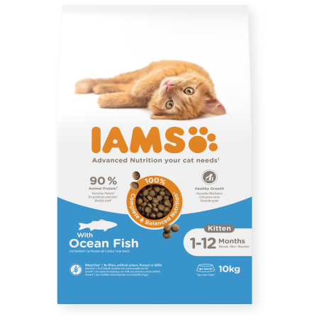 IAMS Dry Food Kitten Ocean Fish