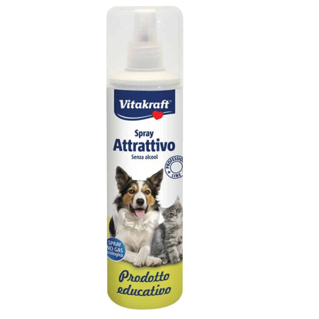 NY ATTRATTIVO TRAINING 250 ML