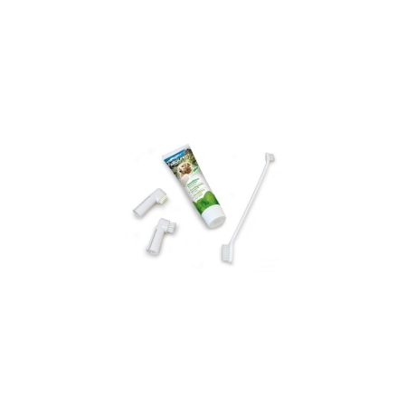 Dental kit for dogs mint flavour
