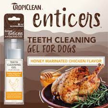 ENTICERS GEL  honey marinated chicken flavor