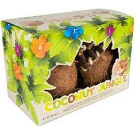 COCONUT GLOBEHOUSE WITH LADDER