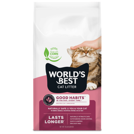 World’s Best Cat Litter Good Habits