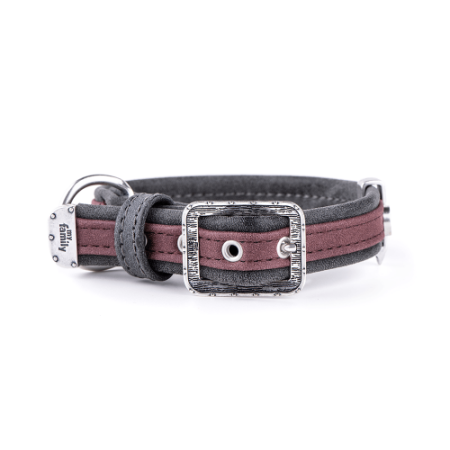 MyFamily London Dog Collar in Fine Crafted Leatherette