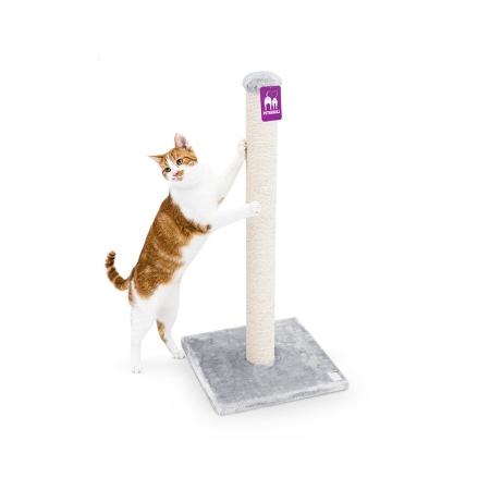 PetRebels Maine 90 Grey