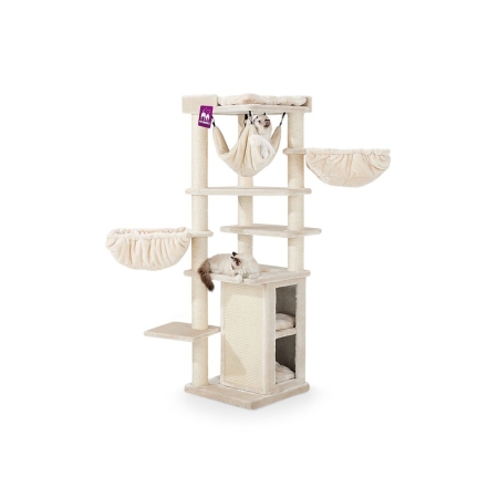 PetRebels Ramses 158 Cream