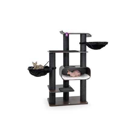 PetRebels Virgo 173 Wenge