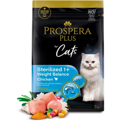 prospera-cat-11.webp