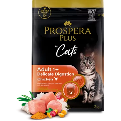 prospera-cat-17.webp