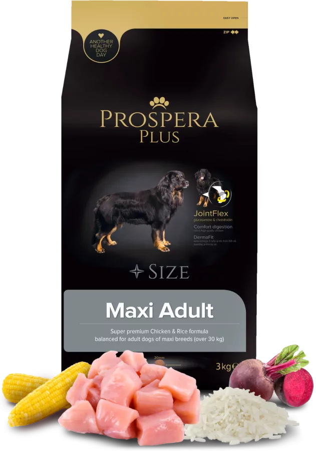 prospera-dog-FRONT-1.webp