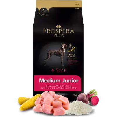 prospera-dog-FRONT-11.webp
