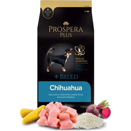 Prospera Plus Chihuahua