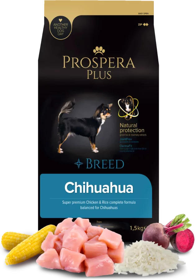 prospera-dog-FRONT-25.webp