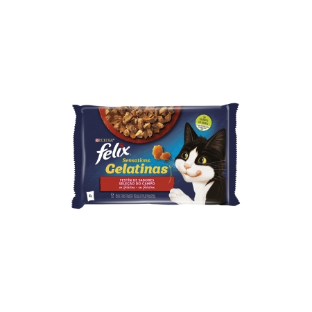 FELIX POUCHES SENSATION MIX 4X85GR