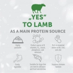 NATURE’S PROTECTION SUPERIOR CARE dry grain free food for adult dogs of all breeds with red coat, with lamb - Image 2